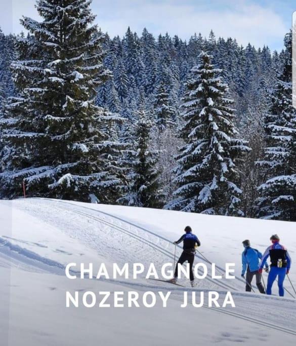 Gite Jura Mina Chalet Au Milieu De La Nature Vila Ney Exterior foto