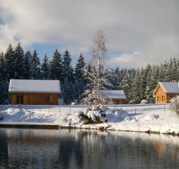 Gite Jura Mina Chalet Au Milieu De La Nature Vila Ney Exterior foto