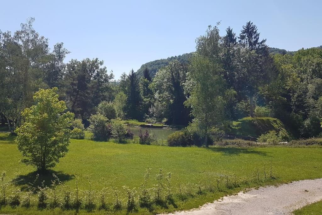 Gite Jura Mina Chalet Au Milieu De La Nature Vila Ney Exterior foto